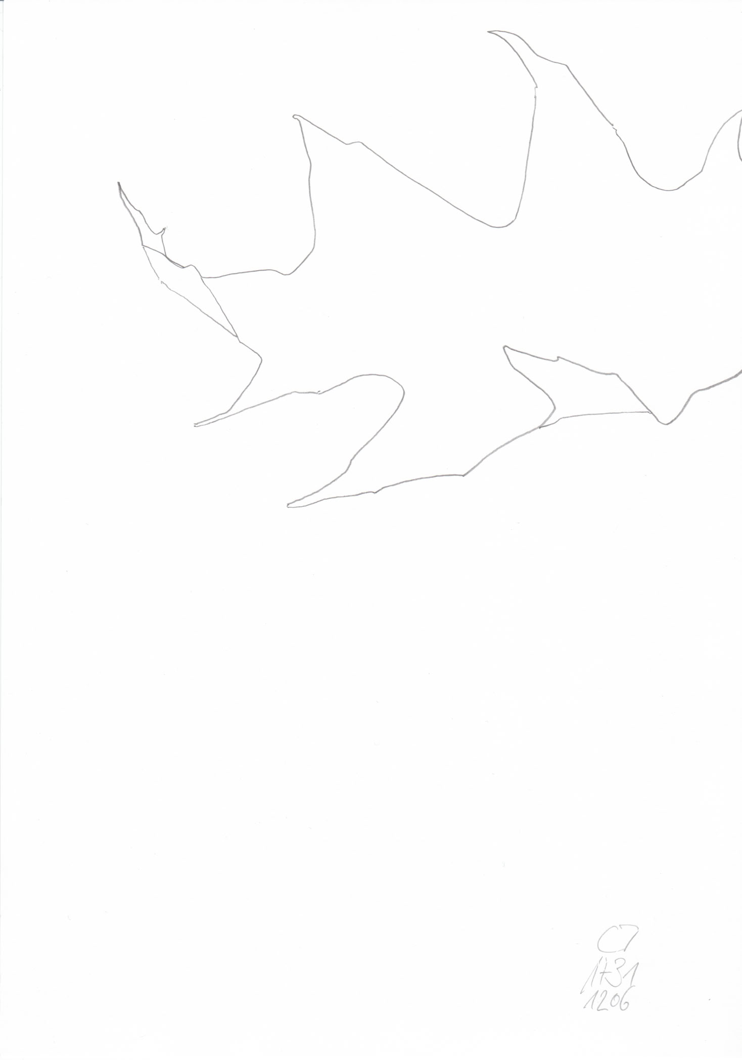 Kunst, Zeichnung, Bleistift 2006, Christoph Teixeira, Grafik